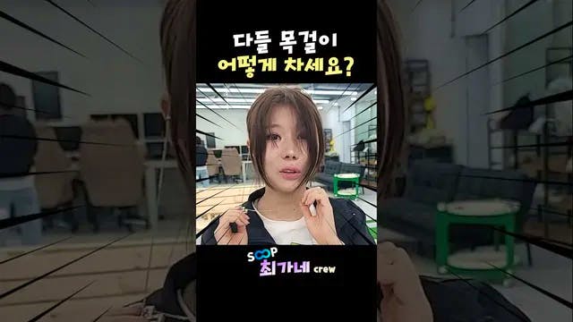 다들 목걸이 어떻게 차시나요?
